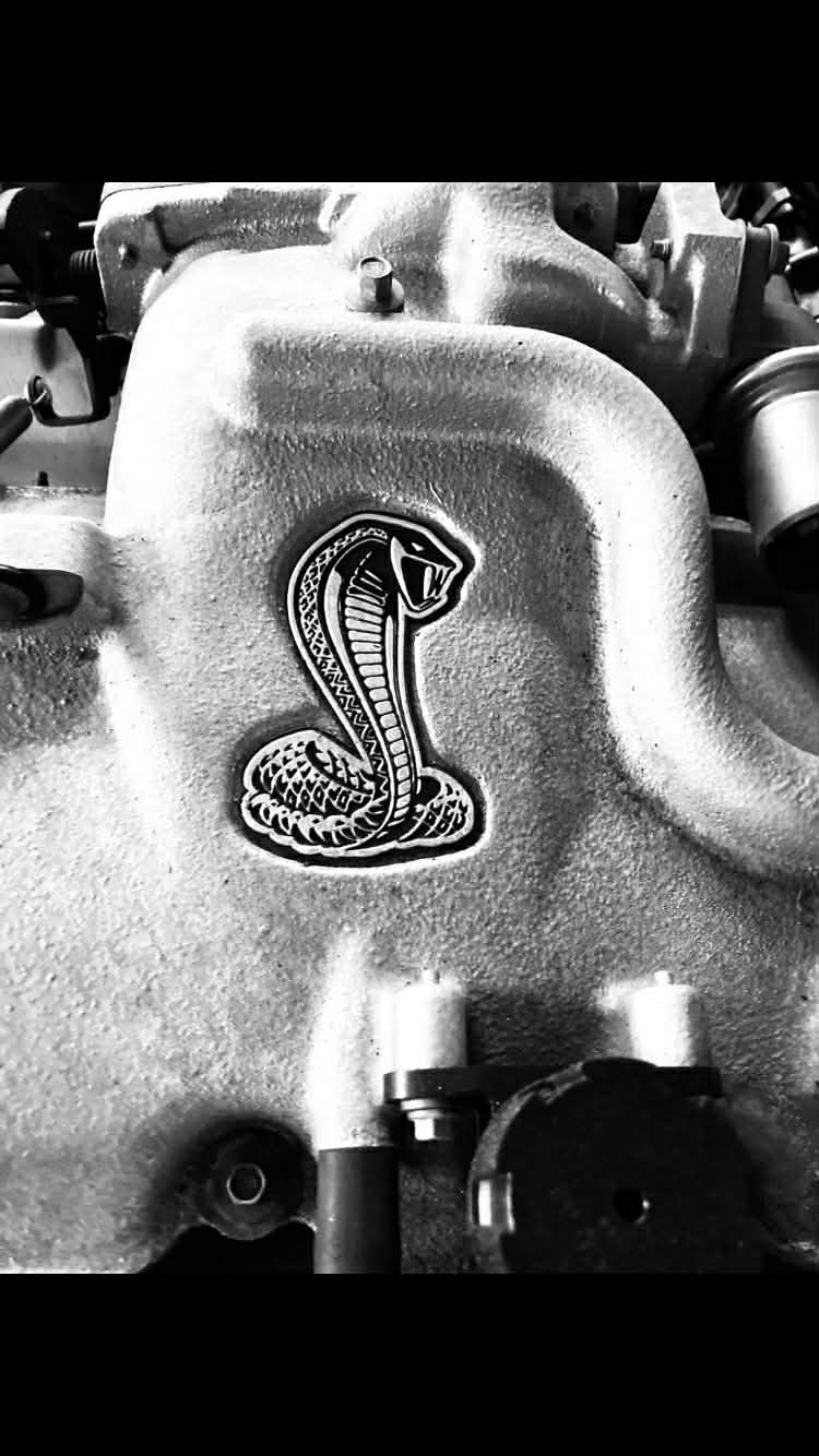 55d51151 Cc22 4f55 Af94 6225789209e0