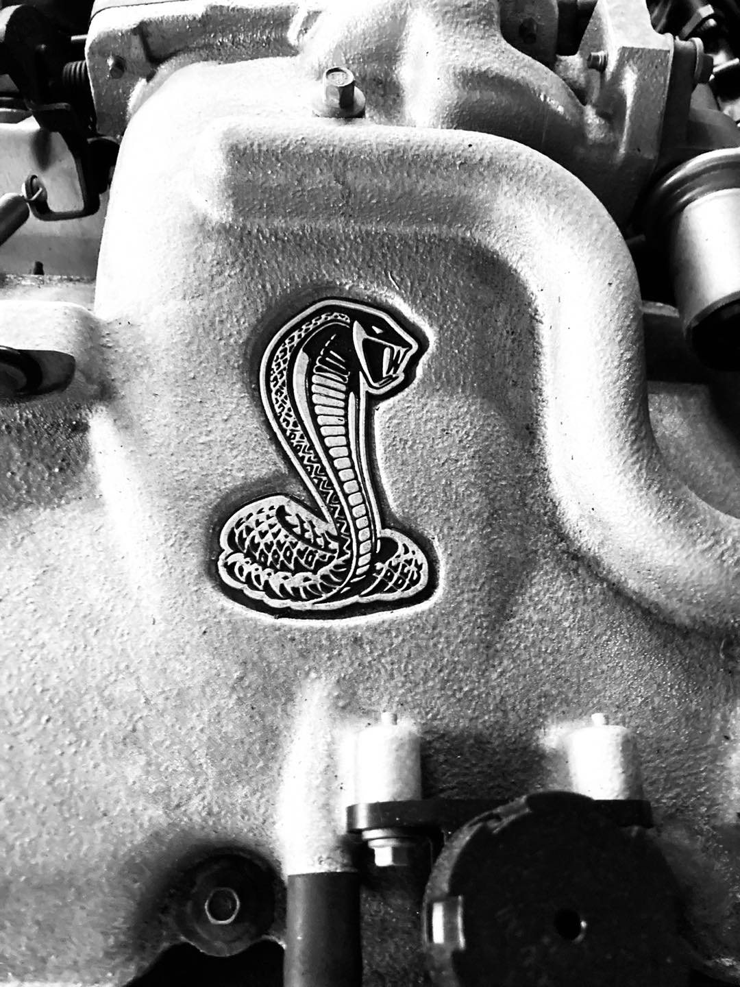 Cobra_intake