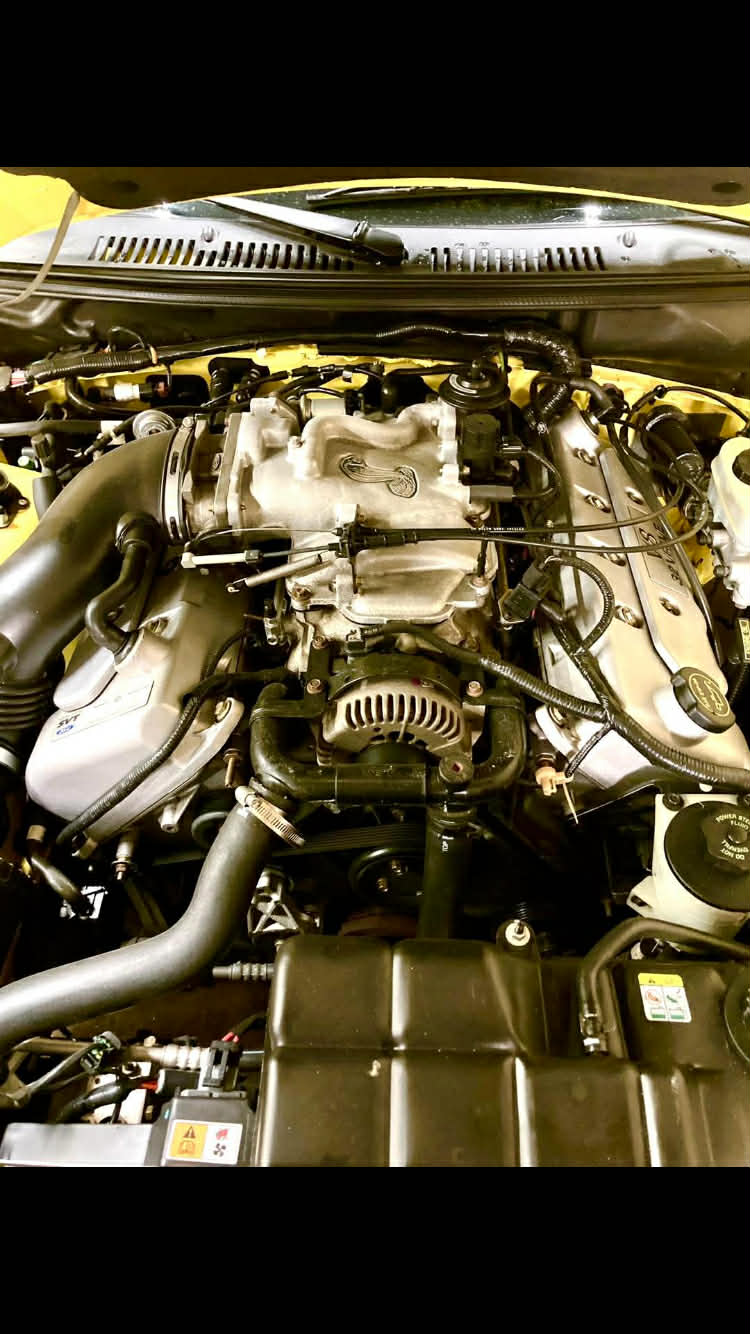 D21bf081 1e95 41a7 8fa7 16a448e563a0